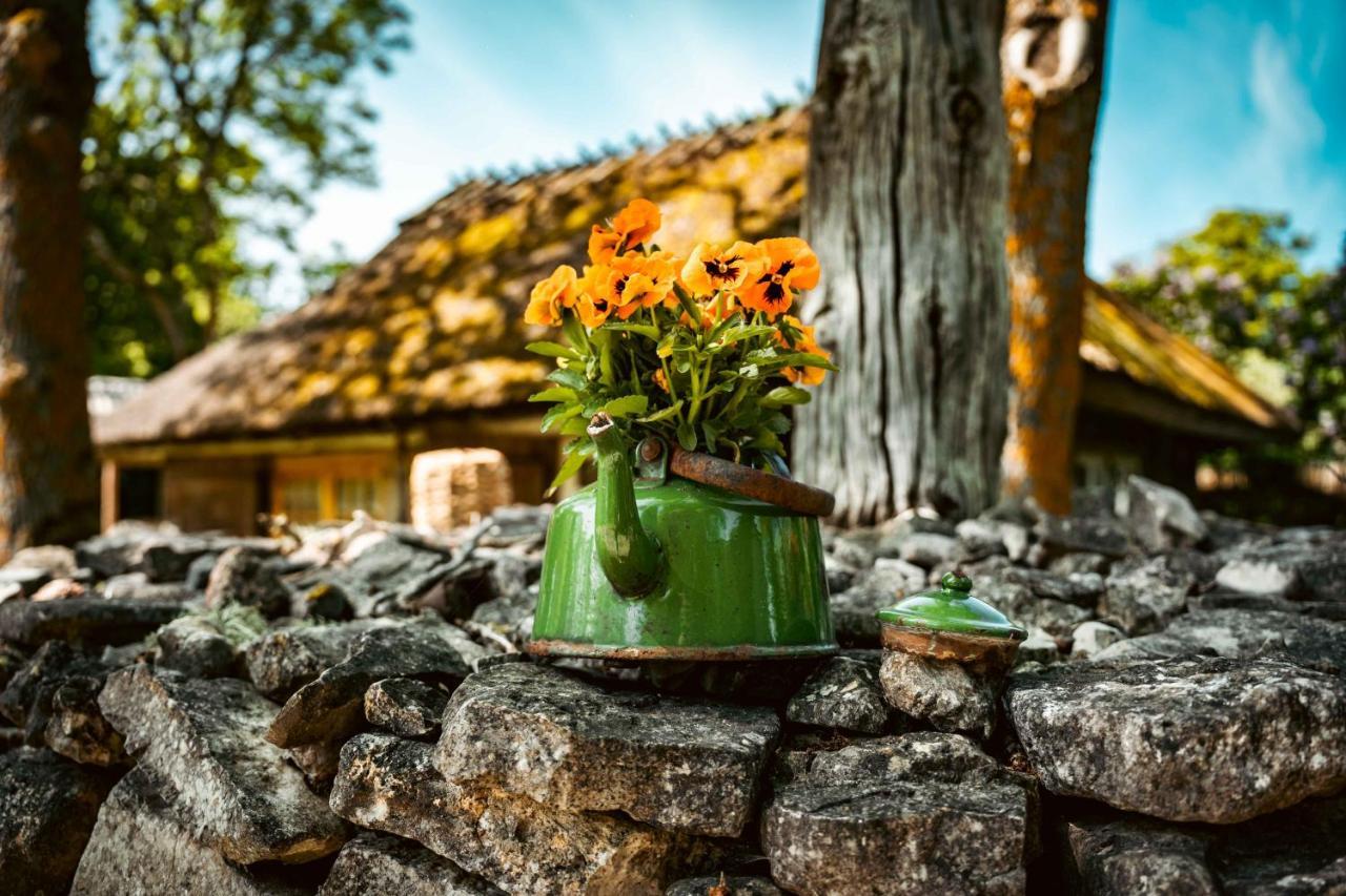 Vanatoa Taluhotell Koguva Esterno foto